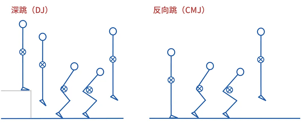深跳 DJ 與反向跳 CMJ 火柴人分解圖，左側從箱子跨出落地屈膝再起跳，右側直接站地上先下蹲再向上跳