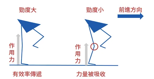 勁度大小的比較。以膝關節為例，先不考慮髖及踝