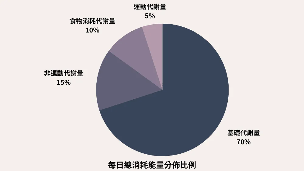 每日總消耗能量分佈比例