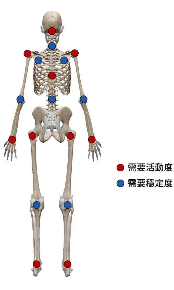 各關節特性示意圖