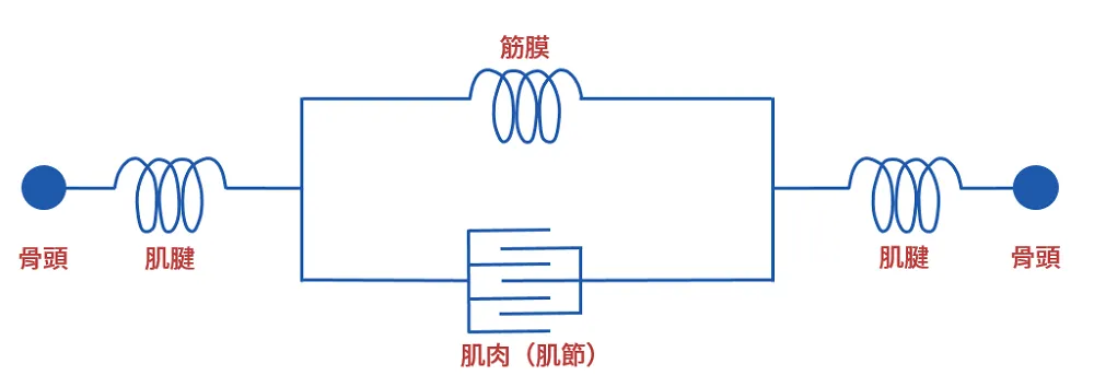 MTU