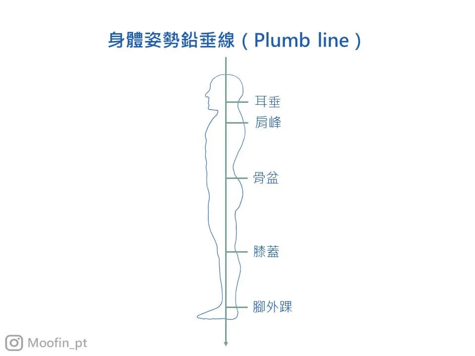 側面姿勢鉛垂線