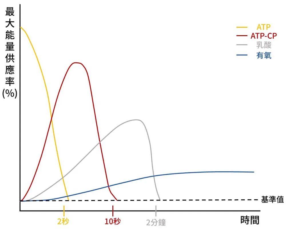 運動中能量系統供應狀況