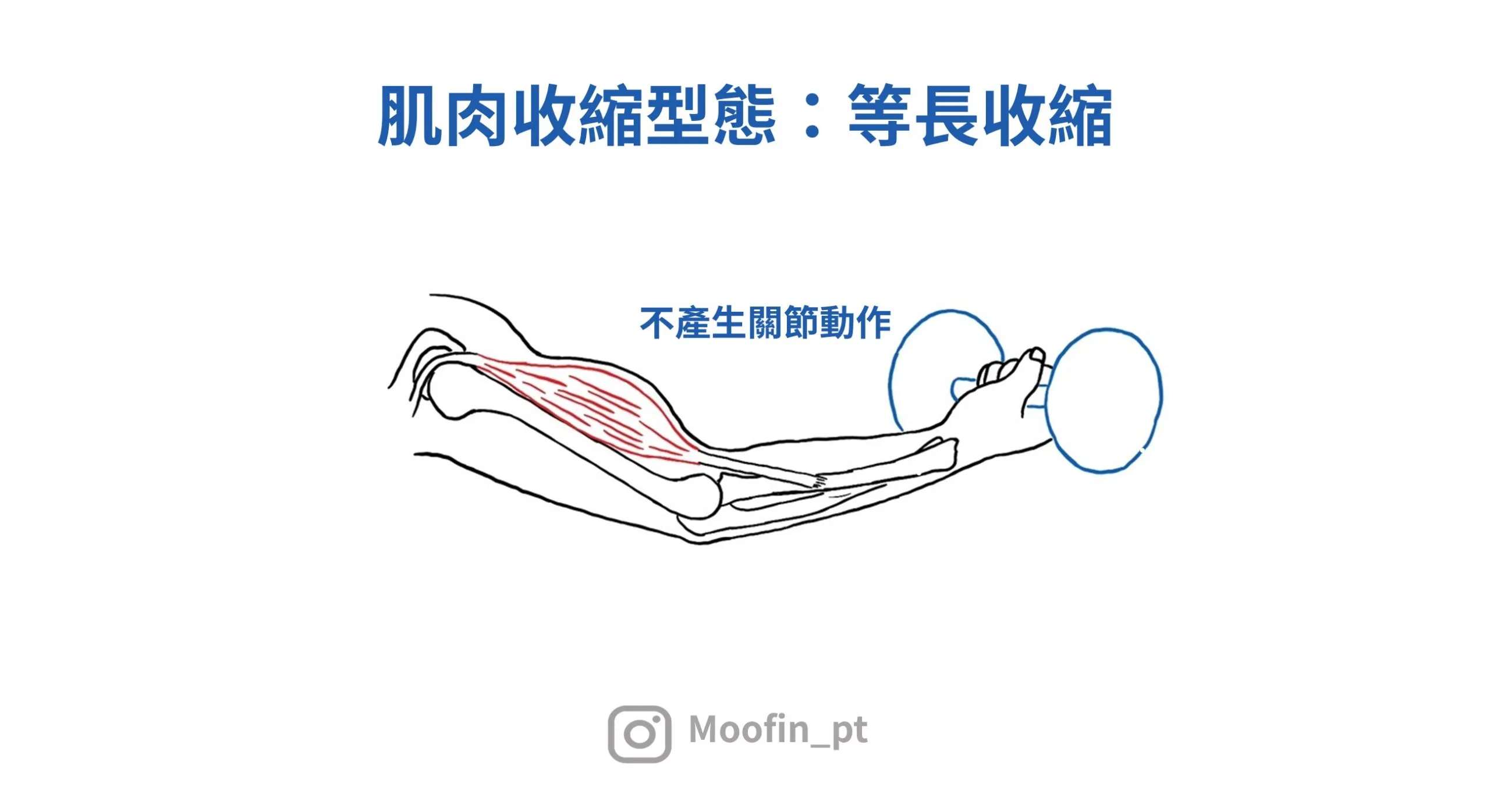 等長收縮時關節不會產生動作