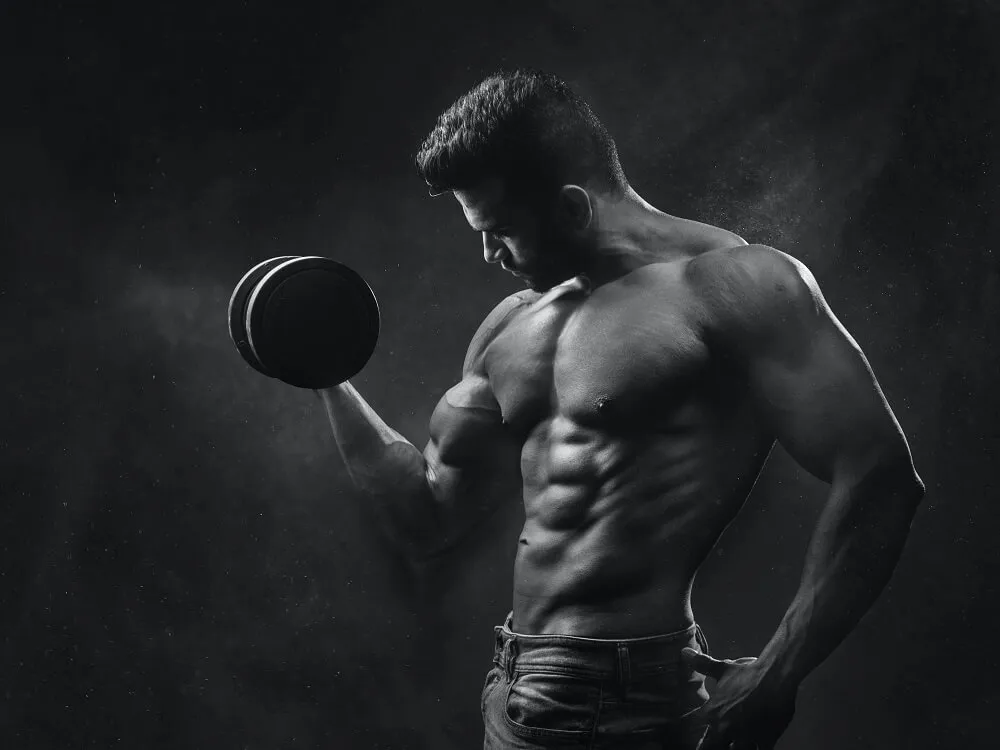 muscle
