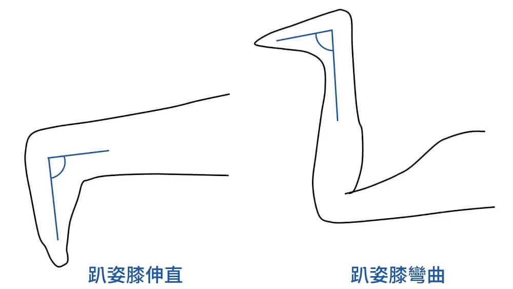 趴姿腳踝背屈測試